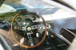 Bild 13/50 von Ford Shelby GT 500 (1967)