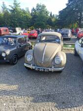 Immagine 56/56 di Volkswagen Maggiolino 1100 Standard "Ovali" (1954)