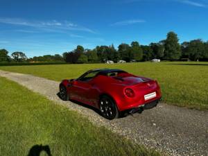 Bild 8/47 von Alfa Romeo 4C Spider (2015)