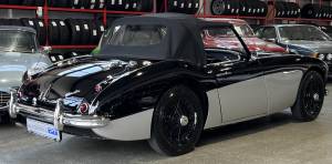 Bild 6/29 von Austin-Healey 3000 Mk I (BN7) (1959)