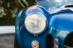 Image 9/68 of Shelby Cobra 289 (1966)