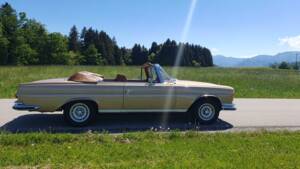 Image 14/38 of Mercedes-Benz 280 SE 3,5 (1969)
