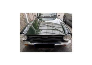 Image 3/13 of Triumph TR 6 PI (1974)