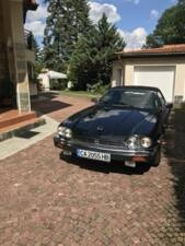 Bild 4/8 von Jaguar XJS 5.3 V12 (1989)