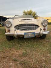 Bild 13/22 von Austin-Healey 3000 Mk II (BN7) (1960)