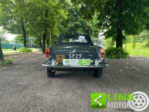Bild 9/10 von Alfa Romeo Giulia 1600 Spider (1962)