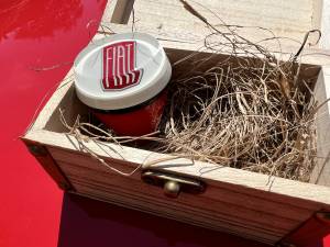 Immagine 21/26 di FIAT Ghia 500 Jolly (1967)