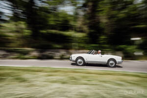 Bild 5/71 von Alfa Romeo Giulietta Spider (1960)