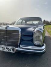 Image 9/52 of Mercedes-Benz 250 S (1967)
