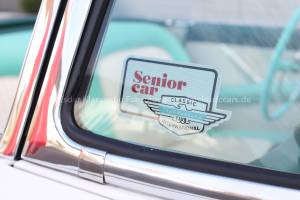 Image 35/40 of Ford Thunderbird (1955)
