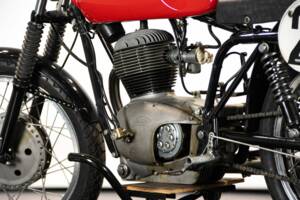 Immagine 24/50 di Gilera 175 Sport (1956)