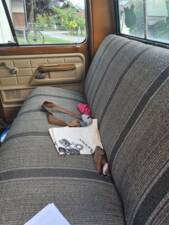 Image 5/8 of Ford F-250 XLT 4X4 (1974)