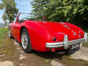 Bild 6/12 von Austin-Healey 100&#x2F;4 (BN1) (1954)