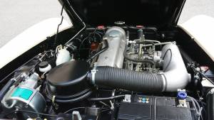 Immagine 31/32 di Mercedes-Benz 190 SL (1962)