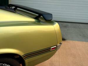 Image 20/50 of Ford Mustang Mach 1 (1969)