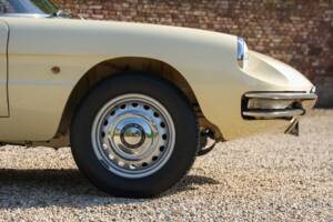 Image 45/50 of Alfa Romeo 1600 Duetto (1967)