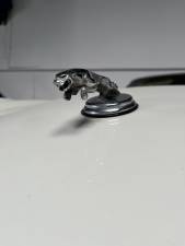 Image 13/13 of Jaguar XJS 5.3 V12 (1994)