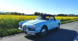Bild 50/55 von Alfa Romeo Giulia 1600 Spider Veloce (1965)