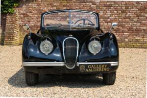 Immagine 29/50 di Jaguar XK 120 DHC (1953)