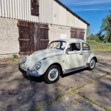 Bild 1/140 von Volkswagen Käfer 1200 Export "Dickholmer" (1963)