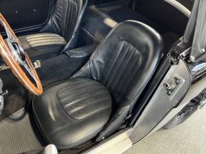 Bild 13/29 von Austin-Healey 3000 Mk I (BN7) (1959)