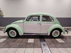 Immagine 7/19 di Volkswagen Beetle 1200 A (1964)
