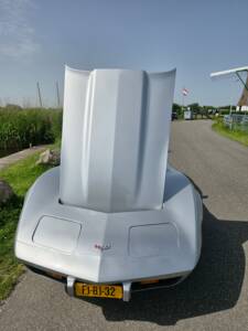 Bild 33/37 von Chevrolet Corvette 5.0L (1979)