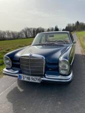 Image 6/52 of Mercedes-Benz 250 S (1967)