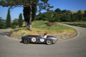 Image 21/29 of AC Ace Bristol (1957)