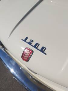 Bild 19/63 von FIAT 1200 Granluce (1958)