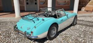 Immagine 31/48 di Austin-Healey 3000 Mk II (BT7) (1962)