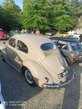 Immagine 55/56 di Volkswagen Maggiolino 1100 Standard "Ovali" (1954)