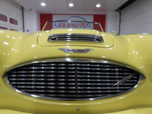 Bild 8/50 von Austin-Healey 3000 Mk I (BN7) (1960)