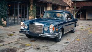 Bild 1/16 von Mercedes-Benz 280 SE 3,5 (1971)