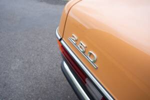 Image 31/32 of Mercedes-Benz 250 (1978)