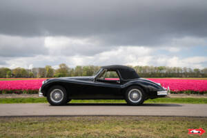 Immagine 13/47 di Jaguar XK 140 DHC (1956)