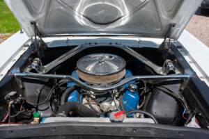 Image 29/54 of Ford Shelby GT 350 (1965)