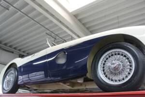 Image 12/50 de Austin-Healey 100/4 (BN1) (1953)