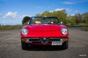 Afbeelding 18/42 van Alfa Romeo 2000 Spider Veloce (1980)