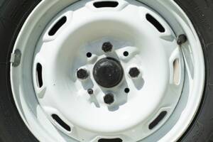 Bild 19/39 von FIAT 600 Savio Jungla (1967)