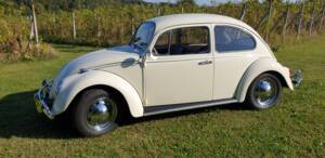 Image 1/10 of Volkswagen Beetle 1300 (1967)