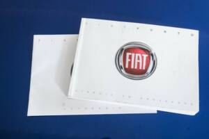 Bild 46/50 von FIAT Grande Punto 1.4 (2009)