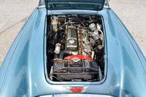 Bild 15/61 von Austin-Healey 3000 Mk III (BJ8) (1965)