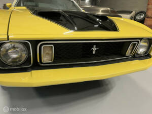 Bild 4/40 von Ford Mustang Mach 1 (1973)
