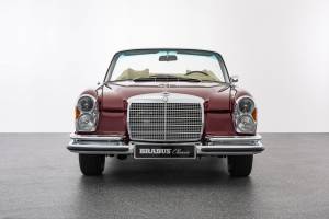 Image 4/39 de Mercedes-Benz 280 SE 3,5 (1971)