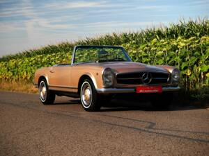Afbeelding 5/30 van Mercedes-Benz 230 SL (1966)