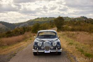 Image 8/50 of Daimler 2.5 Litre V8 (1965)