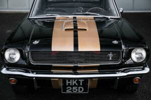 Image 33/38 of Ford Shelby GT 350H (1966)