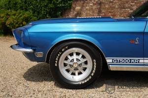 Bild 37/50 von Ford Shelby GT 500-KR (1968)