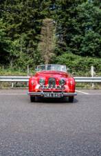 Bild 37/39 von Jowett Jupiter (1952)